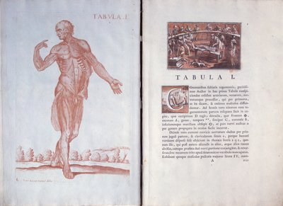 Plate 1 from 